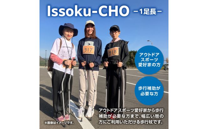 【R17031】ウォーキングポール Issoku-CHO（1足長） CL（カムレバー式） オールブラック 2本1セット