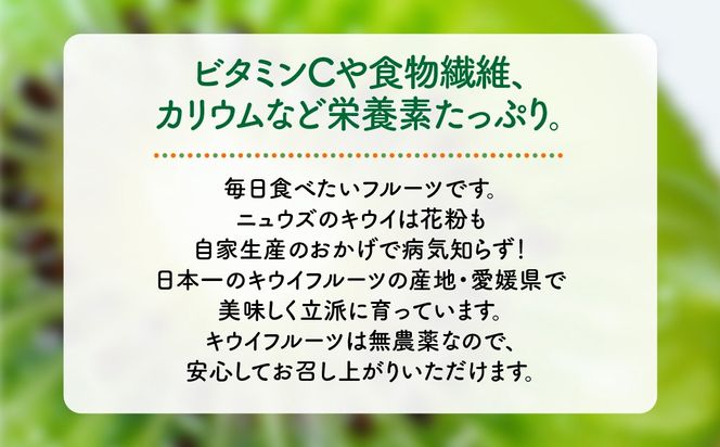 【先行予約】キウイフルーツ（生果）3kg（2026年11月上旬より順次発送） IKTF024