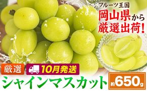 【10月発送】シャインマスカット 約650g(1房)《2026年10月上旬-10月末頃出荷》岡山県 笠岡市 シャインマスカット 厳選 ぶどう ブドウ 葡萄 マスカット 果物 フルーツ ギフト---kasaoka_zsy_417_650-10m---