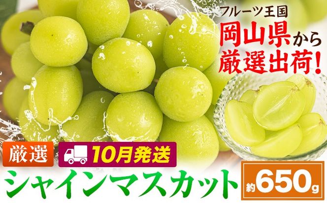【10月発送】シャインマスカット 約650g(1房)《2026年10月上旬-10月末頃出荷》岡山県 笠岡市 シャインマスカット 厳選 ぶどう ブドウ 葡萄 マスカット 果物 フルーツ ギフト---kasaoka_zsy_417_650-10m---