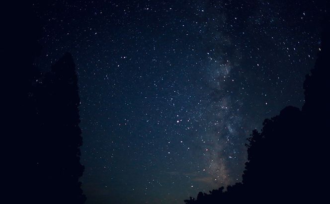 【令和8年産 先行予約】大地の恵みを味わいながら未来を守る「星峠棚田米」 5kg（白米）越後まつだい 魚沼産コシヒカリ