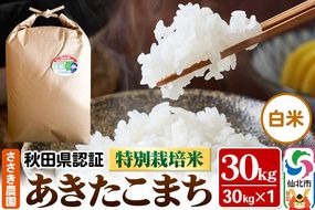 あきたこまち（白米）30kg×1袋 米 令和7年産 秋田県認証 特別栽培米 [白米 精米 あきたこまち アキタコマチ 秋田小町 産地直送 産直 お取り寄せ ごはん]|02_ssn-a13001