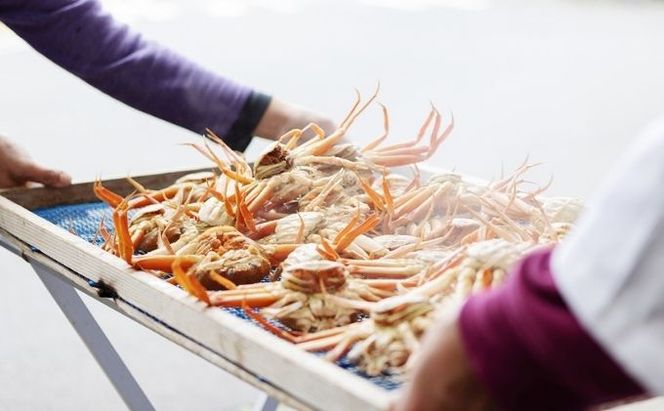 新物 セコガニ コッペがに ほぐし身（特特大サイズ）3個セット 甲羅盛り〈お申込み～2026年7月中旬発送〉 蟹 カニ かに 松葉蟹 松葉ガニ ズワイガニ ボイル