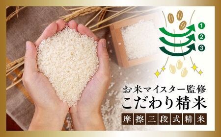 【全6回定期便】【こだわり精米】 糸島産 夢つくし 5kg 糸島市 / RCF 米 お米マイスター [AVM004] 米 白米 夢つくし ごはん 飯 ライス 自炊 5kg 定期便