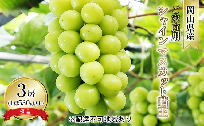 ぶどう 2026年 先行予約 ご家庭用 シャイン マスカット 晴王 優品 3房入り（1房 530g以上 露地栽培） ブドウ 葡萄  岡山県産 国産 フルーツ 果物 