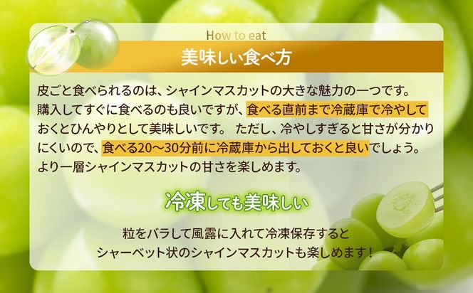 【2025年発送】訳あり 2.3kg 3房以上 シャインマスカット 先行予約 山梨県産 国産 産地直送 人気 おすすめ 贈答 ギフト お取り寄せ フルーツ 果物 くだもの ぶどう ブドウ 葡萄 わけあり ワケアリ 新鮮 甘い 皮ごと 甲斐市 BI-1