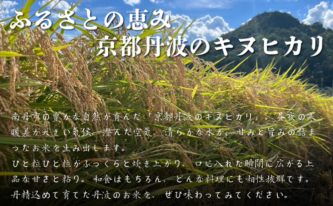 令和7年産 京都丹波産キヌヒカリ 5kg