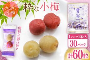 【やばいだろ】粋な小梅 2粒×30 計60粒 [山梨農産食品 山梨県 韮崎市 20743176] 梅干し 梅干 うめぼし 梅 小粒 小梅 カリカリ梅 国産 個包装