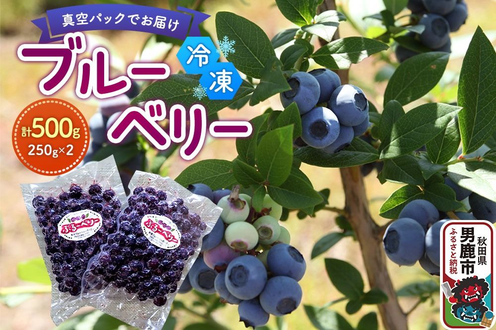 [男鹿ぶるーべりーガーデン] 冷凍ブルーベリー 250g×2パック(合計500g)秋田県 男鹿市|23_sea-020501