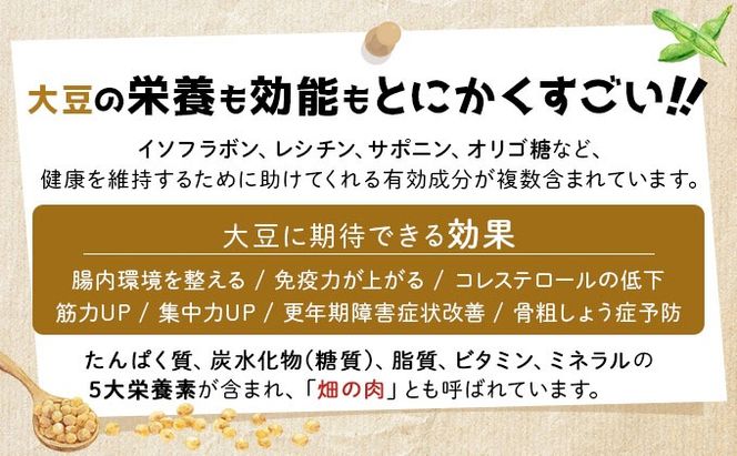 なまら推し大豆 12缶 大豆のドライパック 缶 北海道産 苫小牧 広域 缶詰 長期保存可 常温 非常食