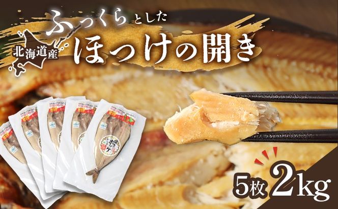 ykCWÒzuLxȎ|݁vkCY ӂƂzbP̊J5 40cm`50cm 2kgy2500301z