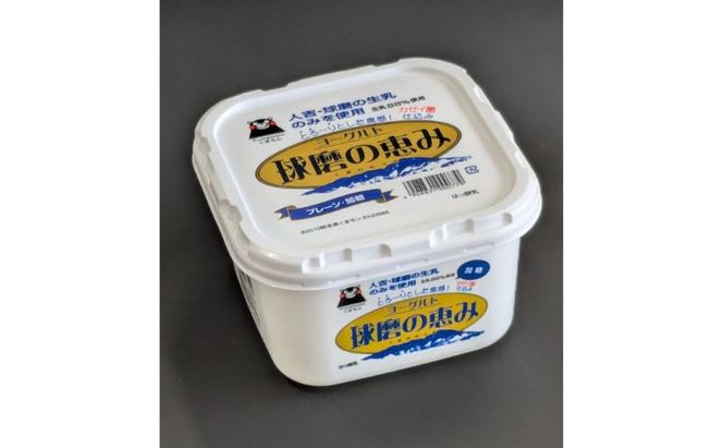 ヨーグルト もっちり、とろ～りの2つに食感！　球磨の恵みヨーグルト ( 加糖タイプ ) 3kg 【配送不可：沖縄県、離島】