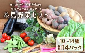 旬を味わう 糸島 野菜 セット 10～14種（計14パック） / イタリア野菜 オーガニック 野菜ソムリエ 松永《糸島》【vegeLabo】[AJB001]