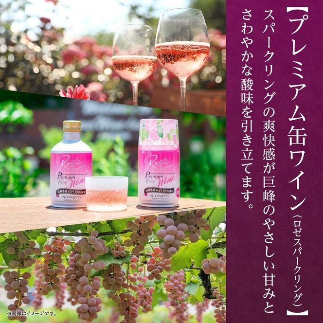 スパークリング 缶ワイン 2種 飲み比べ プレミアム缶ワイン ロゼ プティモンテリアロゼスパークリング 各3本 計6本 モンデ酒造 酒 お酒 贈答 ギフト 晩酌 宅飲み 家飲み キャンプ BBQ パーティー アウトドア 送料無料 山梨県 笛吹市  177-4-172