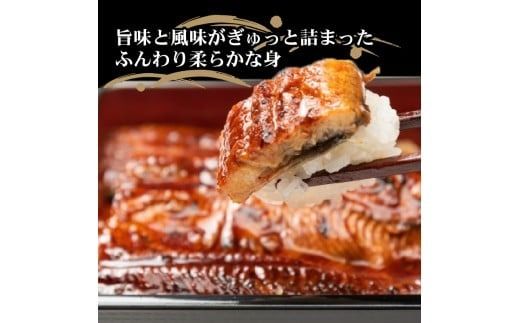 厳選!!高知県産うなぎの蒲焼き(2尾) 6回定期便 うなぎ 蒲焼 高知県産 定期便 ふるさと納税 国産 鰻 うな重 夏バテ対策 スタミナ料理 土用丑の日 贈り物 ギフト 特製タレ 解凍 電子レンジ 調理簡単 職人技 旨味 風味 ふんわり 柔らか 香ばしい 2尾 170g 180g 6回 安芸市 高知県