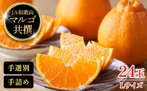 JA和歌山 マルゴ共撰 デコポン 24玉入り Lサイズ 5kg箱   CM02