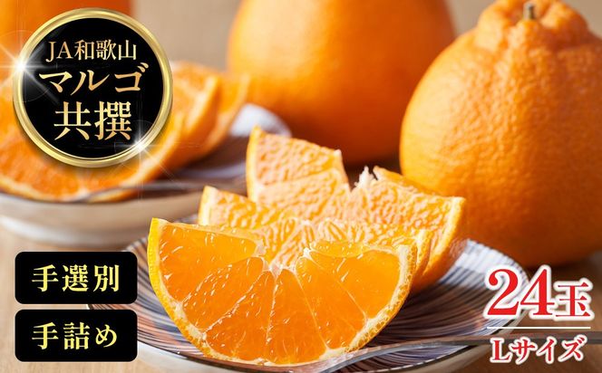 JA和歌山 マルゴ共撰 デコポン 24玉入り Lサイズ 5kg箱   CM02