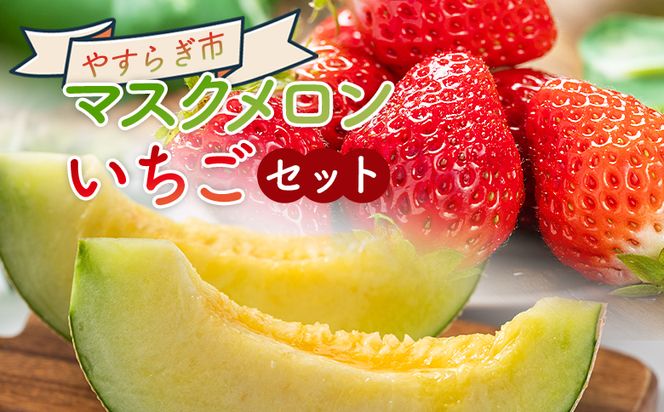マスクメロン イチゴセット yr-0110