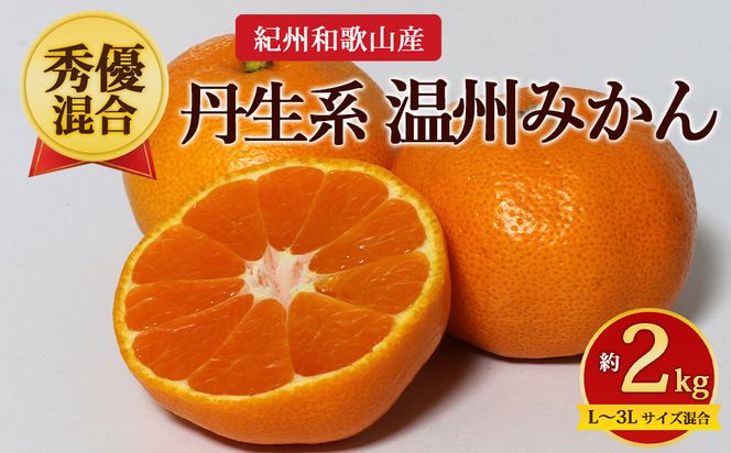 【先行予約】【秀優混合】紀州和歌山産 丹生系 温州みかん 約2kg（箱込み）L～3L サイズ混合