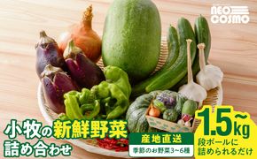 ネオコスモ農園で採れた小牧の野菜詰め合わせ［124N01］