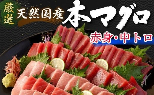 【数量限定】 天然 本マグロ 中トロ・赤身 1kg 国産 マグロ 鮮魚 魚 高知県 室戸市 刺身 刺し身 漬け丼 海鮮丼 おかず 魚介類 海鮮 海産物 まぐろ 本まぐろ 鮪 ブロック 1キロ 惣菜 冷凍 美阿丸 高知県 室戸市