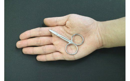 ハサミ すみだモダン 職人が大切な人に贈ったはさみ 携帯用 石宏製作所 はさみ 鋏 刃物 文具 文房具 雑貨 日用品 