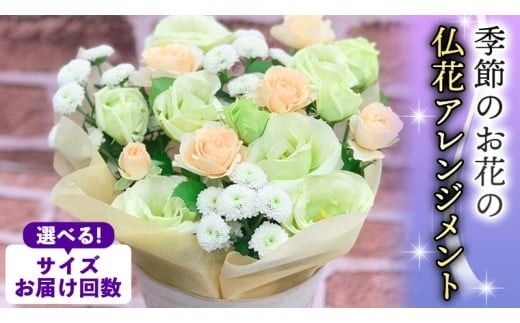 季節のお花の仏花アレンジメント 【選べるサイズと回数】ミニ S M L LL 単品 定期便 6回 12回 アレンジメント 花 お花 仏花 生花 お供え ギフト プレゼント 命日 月命日 [CT025ci00]