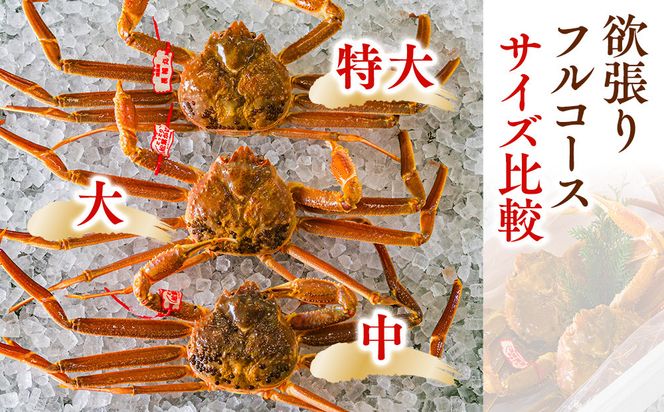 1034.鳥取県産　タグ付きボイル松葉ガニと活松葉ガニの欲張りフルコース大2枚セット　(800g前後)　※2026年11月上旬～2027年3月下旬頃に順次発送予定 313726_AL033