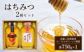 はちみつ セット 2種 高麗人参蜂蜜漬・ローヤルゼリー入り蜂蜜 各750g×1 ハチミツ 蜂蜜 健康 KS-60 