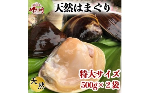 岬だよりの 希少 天然はまぐり 特大サイズ 500g×2袋