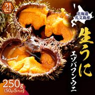 北海道 礼文島産 採れたて ミョウバン不使用 エゾバフンウニ 塩水パック 250g(50g×5個)［株式会社やまじょう］【 うに ウニ 雲丹 生うに 塩水うに バフンウニ 滅菌海水 海鮮 うに丼 濃厚 甘み 】