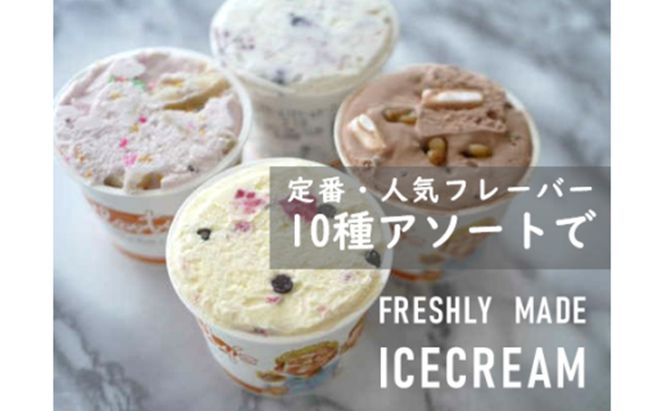 【湘南茅ヶ崎の人気店】 プレンティーズのアイスクリーム（バラエティセット10個） お菓子 スイーツ ひんやり デザート 夏 おしゃれ かわいい 食べ比べ