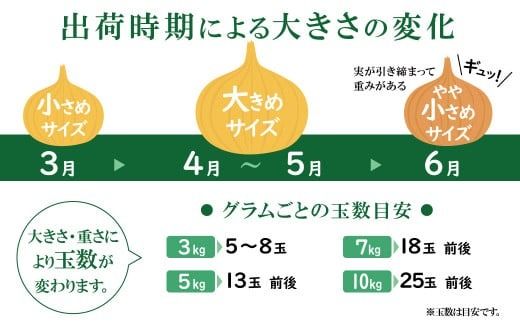 (2026年発送)訳あり 新玉ねぎ 生がおいしい 神重農産のブランド玉ねぎ「旬玉」5kg ブランド玉ねぎ 玉ねぎ 国産 愛知県産 野菜 やさい 農家直送 畑直送 旬 期間限定 たまねぎ 先行予約 旬 特産 高評価 高リピート 人気 H105-153