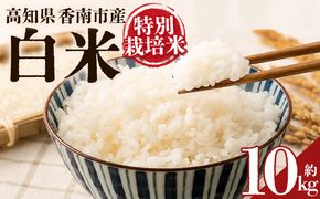 令和８年度産 白米（特別栽培米）10kg ka-0003