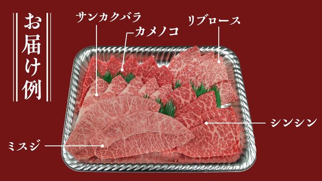 【常陸牛】焼肉セット 800g (400g×2パック） (茨城県共通返礼品) 国産 牛肉 肉 お肉 焼き肉 バーベキュー BBQ カメノコ サンカクバラ ミスジ イチボ ササミ ザブトン シンシン カイノミ ボンジョー タテバラ 三角バラ サイコロステーキ サーロイン リブロース ランプ ウワミスジ ヒレ