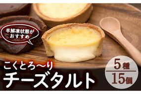 こくとろ～り チーズタルト (合計15個・5種各3個) チーズ スイーツ スウィーツ 菓子 焼き菓子 洋菓子 おやつ 詰め合わせ セット 個装 大分県 佐伯市【ER023】【(株)古川製菓】