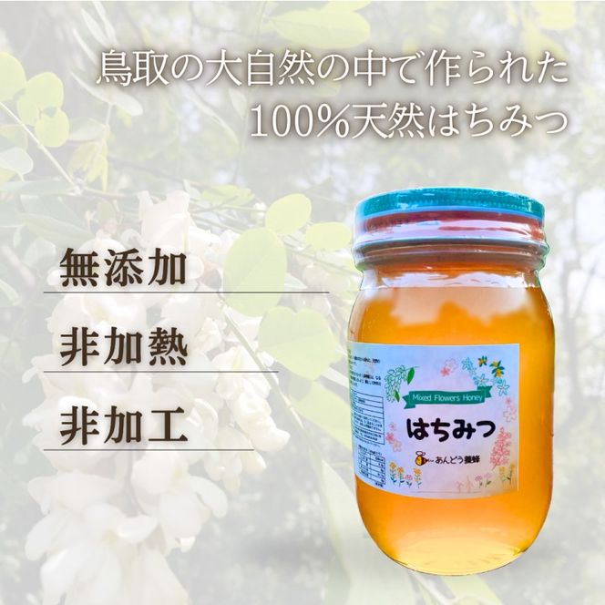 天然はちみつ　アカシア　600g×3本  蜂蜜 ハチミツ ハチ蜜 鳥取県産◇日本全国配送可能  お申し込みから14日以内に発送