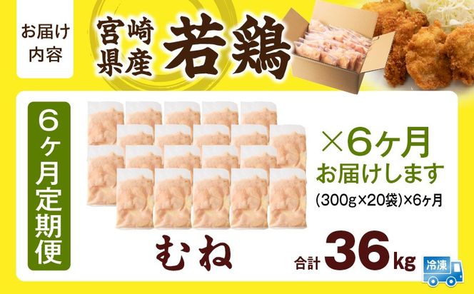 宮崎県産 若鶏切身 むね肉 6kg（300g×20袋）【6か月定期便】_b0800_it_x2