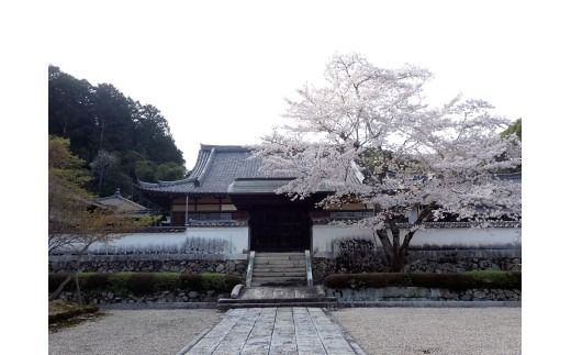 K006 常栄寺庭園保存整備事業