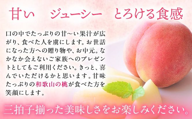 【秀品】和歌山 桃 5～8玉入 ときわオンライン《2025年6月下旬～9月中旬頃出荷》和歌山県 紀の川市 フルーツ 果物 桃 お中元 贈り物 ギフト 産地直送 農家直送---wsk_ctkw13_6g9c_24_13000_5t---