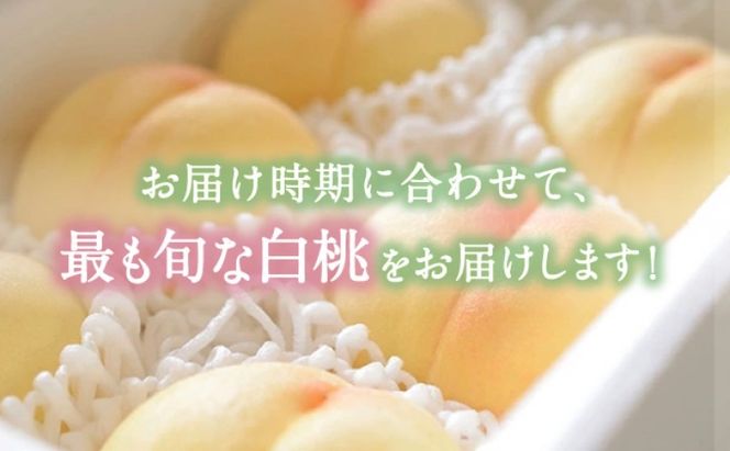 桃 【2026年 先行予約】 晴れの国 おかやま の 白桃 2kg(5玉～7玉) もも モモ 岡山県産 国産 フルーツ 果物 ギフト [№5735-2129]