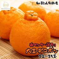 和歌山有田の濃厚大玉デコポン 12～15玉 約5kg［先行予約］［MS79w］ AO046