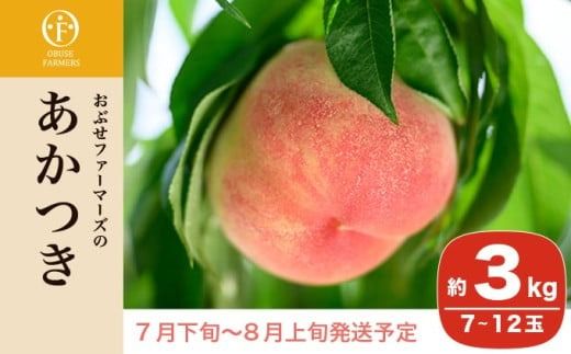 あかつき 約3kg 7～12玉 ［おぶせファーマーズ］桃 もも モモ フルーツ 果物 クール便 冷蔵便 長野県産 信州産 令和7年産【2025年7月下旬〜8月上旬発送】 ［F-16］