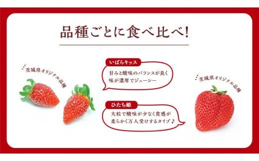 【 茨城いちごグランプリ 受賞 農園 】 完熟 いちご 2品種 食べ比べ セット 茨城県オリジナル品種 イチゴ 苺 フルーツ 果物 果実 いばらキッス ひたち姫 [DY002ci]