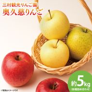 【先行予約・数量限定】三村観光りんご園の奥久慈りんご（各種詰め合わせ）約5kg【10月中旬頃順次発送予定】｜茨城県 大子町 林檎 旬 果物 フルーツ 果実 果汁 ギフト 贈答（BX002-1）