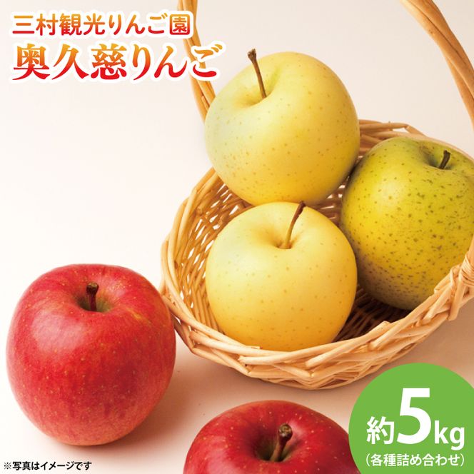 【先行予約・数量限定】三村観光りんご園の奥久慈りんご（各種詰め合わせ）約5kg【10月中旬頃順次発送予定】｜茨城県 大子町 林檎 旬 果物 フルーツ 果実 果汁 ギフト 贈答（BX002-1）