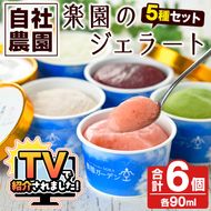 ＼テレビで紹介されました！／農園ガーデン空 楽園のジェラートセット(90ml×6個) ジェラート アイス いちご いちごミルク レモン ブルーベリー 抹茶 デザート スイーツ おやつ 夏 鹿児島 バラエティ バレンタイン ホワイトデー【農園ガーデン空】akn026-12