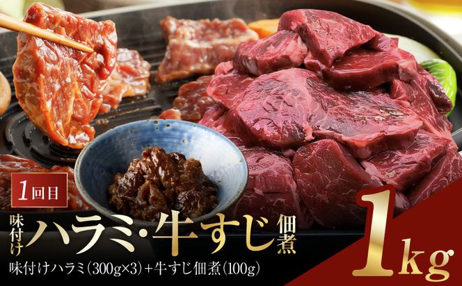 099Z608 アキラ商店 肉三昧 わくわく 定期便 全5回【毎月配送コース お楽しみ 焼肉 ていきびん 焼くだけ 小分け BBQ やきにく 数量限定】