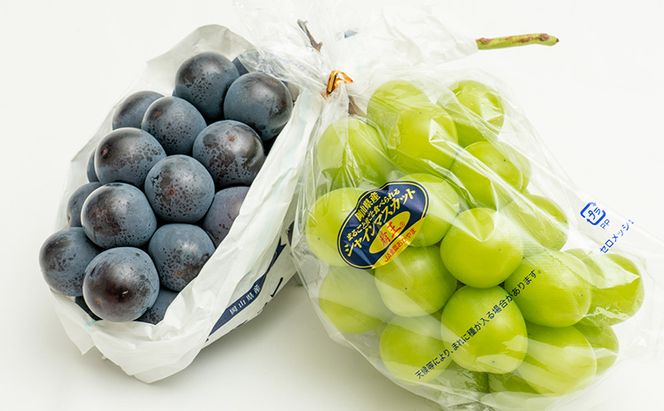 ぶどう 2026年 先行予約 果物 詰合せ ニュー ピオーネ 1房480g以上 シャイン マスカット 晴王 1房 480g以上 化粧箱入り  岡山県産 国産 フルーツ 果物 ギフト 贈答品 フルーツ詰め合わせ 食べ比べ 