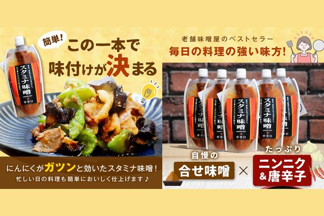 【A5-246】味付け簡単！特製味噌ダレ「スタミナ味噌」【6カ月定期便】